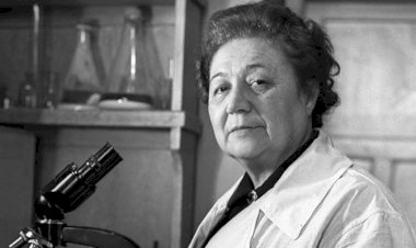 Выпуск двадцатый. ОТКРЫТАЯ  КНИГА  ЗИНАИДЫ   ЕРМОЛЬЕВОЙ