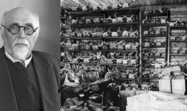 Выпуск двадцать второй. РОЖДЕНИЕ МУЗЕЯ