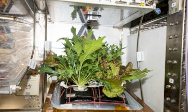 Выпуск двадцать восьмой. ТИМИРЯЗЕВКА КОСМИЧЕСКАЯ