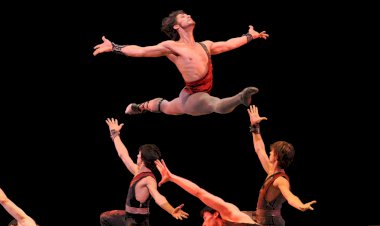 Выпуск тридцать третий.  ОН  МОГ СТАТЬ  АГРОНОМОМ