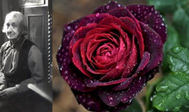 Выпуск тридцать четвёртый. АНАСТАСИЯ ЦВЕТАЕВА И ТИМИРЯЗЕВКА