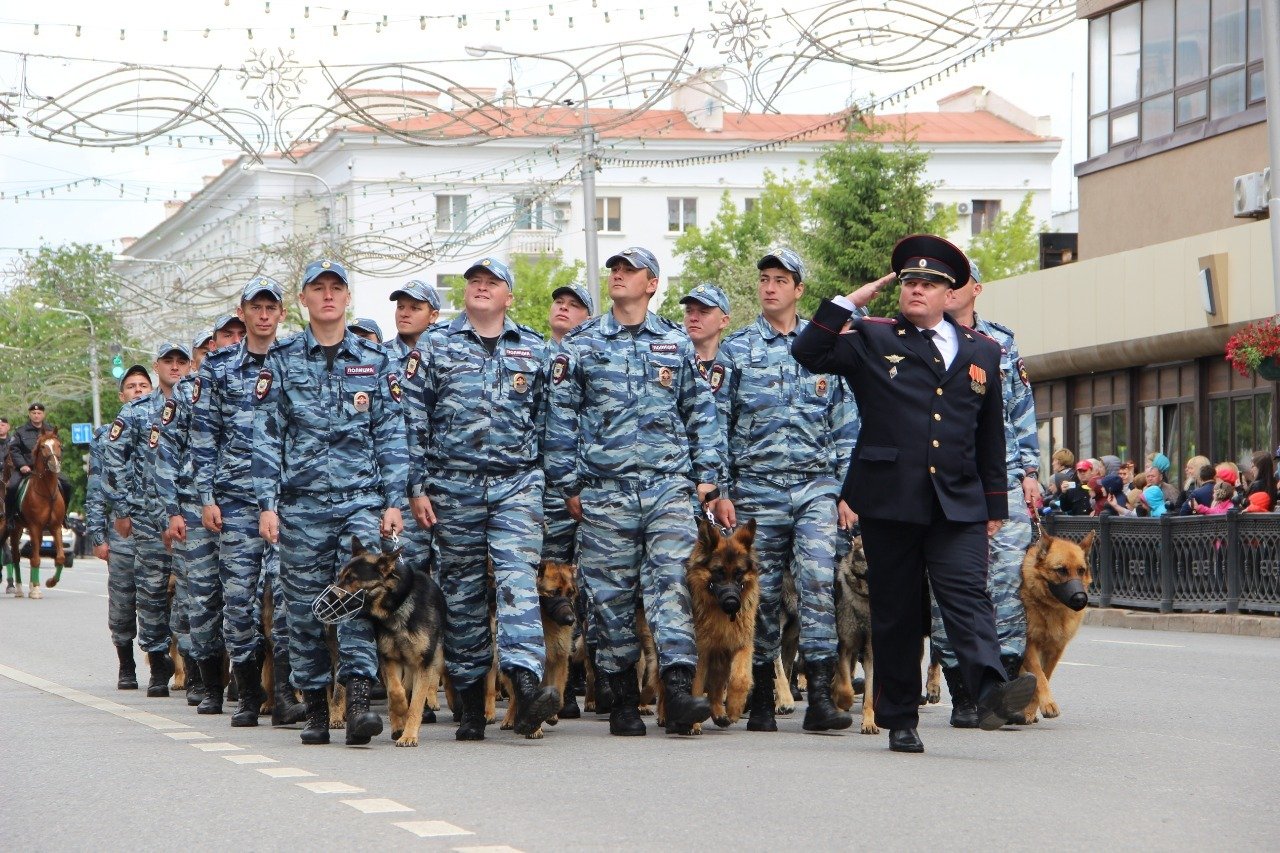 Кинологическая служба картинки